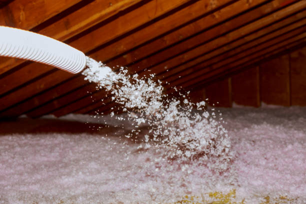 Best Specialized Insulation Services in Thief River Falls, MN