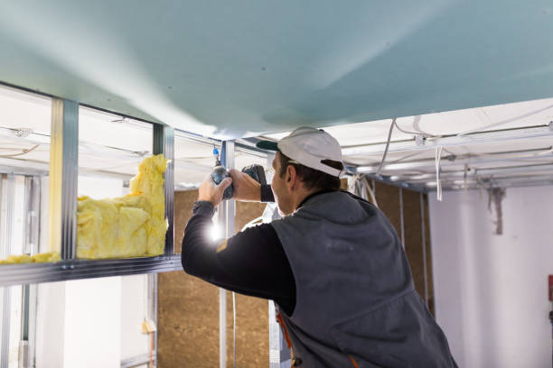 Types of Insulation We Offer in Thief River Falls, MN