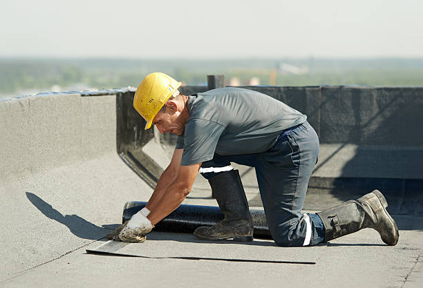 Best Insulation Maintenance and Repair in Thief River Falls, MN
